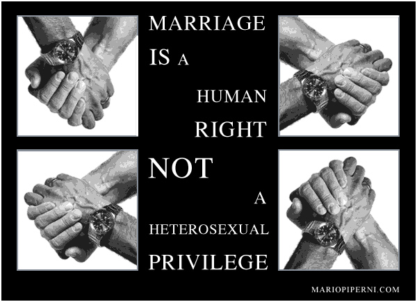 Human Rights Gay Marriage 117